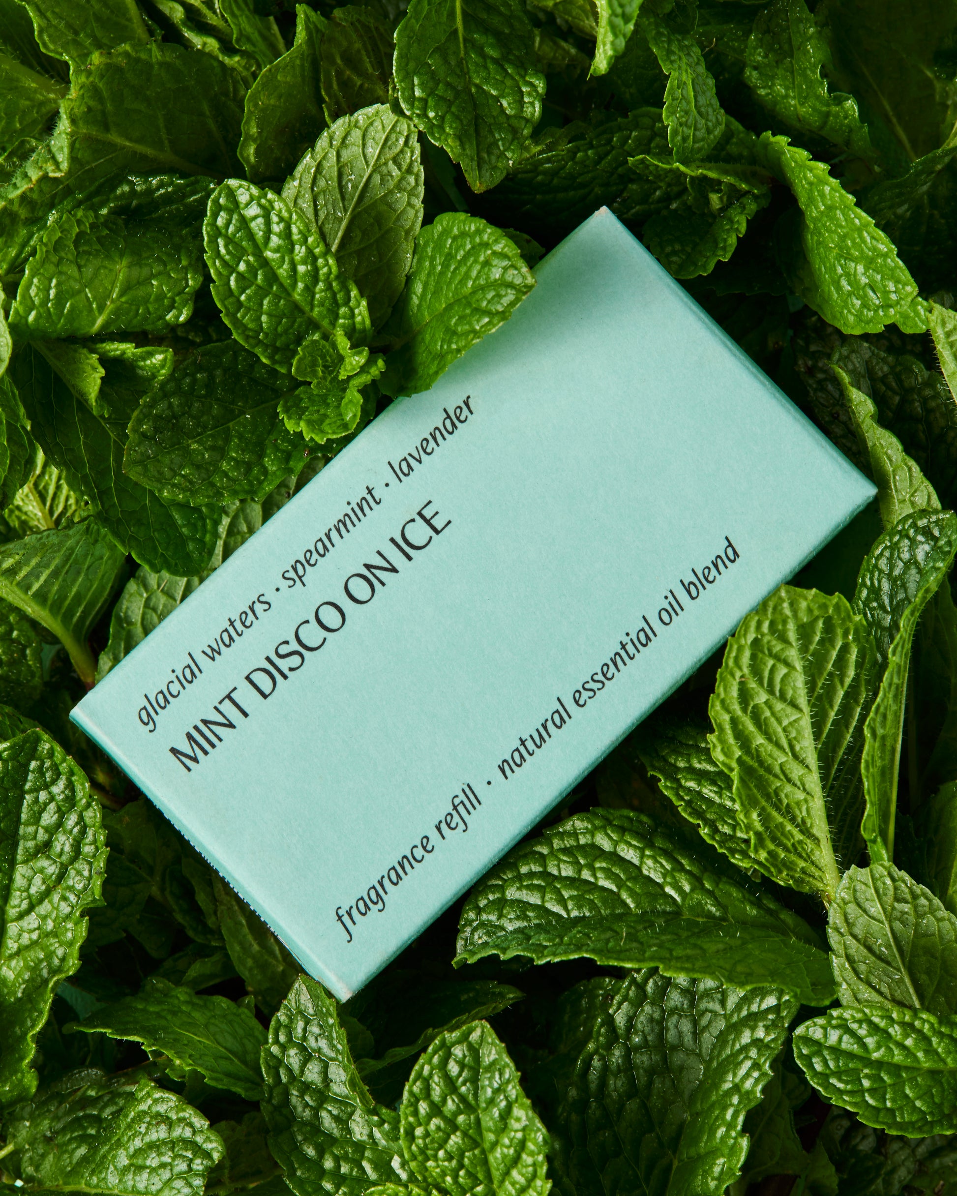 Mint Disco on Ice refill laying on a bed of mint
