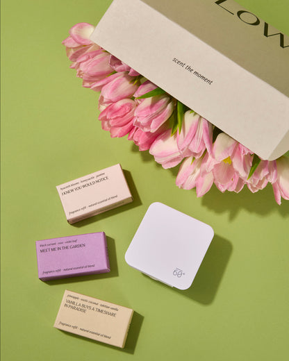 Three diffuser refills and a diffuser on a green background with pink tulips