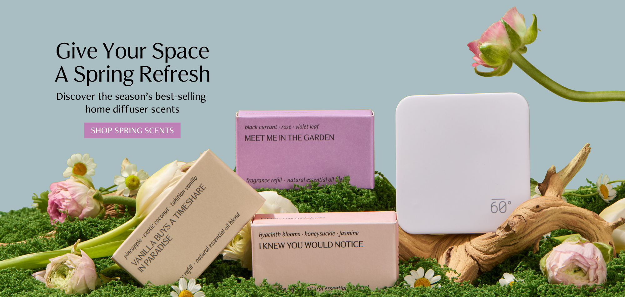 Three Below 60 fragrance refill boxes — Vanilla Buys a Timeshare in Paradise, Meet Me in the Garden, and I Knew You Would Notice — arranged on green moss with white tulips, pink ranunculus, and daisies alongside a white Below 60 plug-in diffuser and driftwood, against a soft blue-grey background. Give Your Space a Spring Refresh. Discover the season's best-selling home diffuser scents.