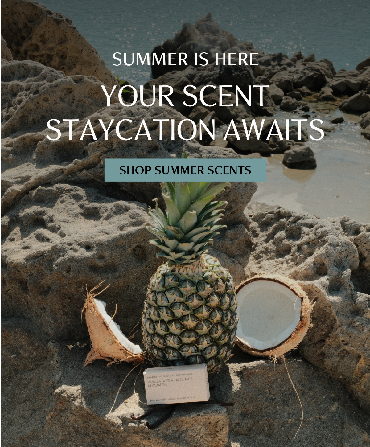 Vanilla Buys a Timeshare in Paradise fragrance refill tucked between a pineapple and split coconut on rocky shoreline, ocean in the distance.